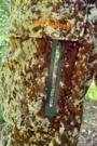 Костюм King Hunter SILENT (High Camo M)