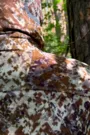 Костюм King Hunter SILENT (High Camo M)